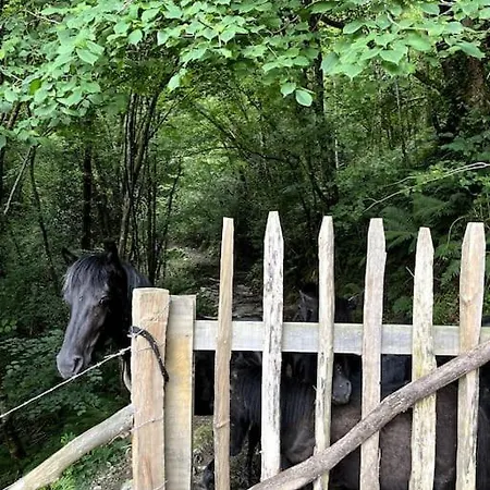 Casa Rural Gaztandizabal Aia Buitenkant foto
